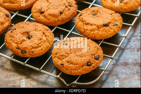 Farinata d'avena appena sfornata e biscotti con gocce di cioccolato su griglia di raffreddamento. Spuntino salutare per colazione Foto Stock