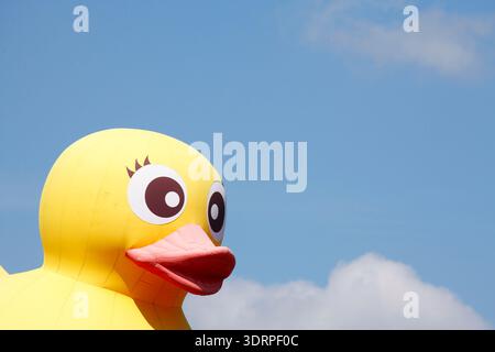 Giallo anatra in plastica Foto Stock