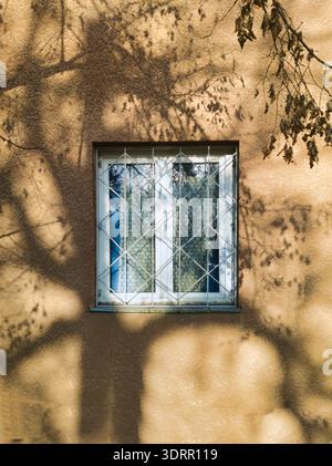 Uno studio architettonico minimalista di una finestra su Ecseri ut a Budapest. Offre una calda luce del sole mattutina e ombre intricate sugli alberi su una parete testurizzata, Foto Stock