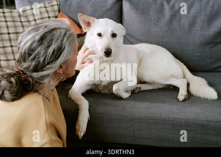 Senior Caucasian Woman Petting Dog Relaxing on Sofa Indoors Foto Stock