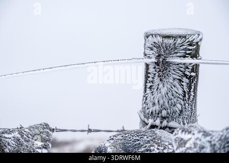 Hoar gelata su una recinzione, Peak District Foto Stock