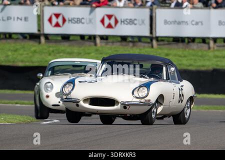 Le auto GT classiche gareggiano nello Stirling Moss Memorial Trophy al Goodwood Revival 2025, una storica gara automobilistica in onore di Sir Stirling Moss. Foto Stock