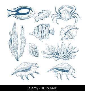 Serie di creature sottomarine. Pesci tropicali, coralli, alghe marine e conchiglie. Elementi vettoriali disegnati a mano per un design in stile classico incisione. Illustrazione Vettoriale
