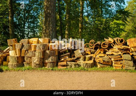 Pila di tronchi di legna da ardere tritati con corteccia ruvida adagiata su erba verde in un parco estivo soleggiato con alberi sullo sfondo in Russia. Foto Stock