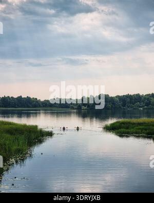 Kayak su un fiume calmo sotto cieli molli. Due kayak pagaiano tra le lussureggianti canne verdi verso lo stelo principale di un fiume con una fitta foresta sul retro. Foto Stock