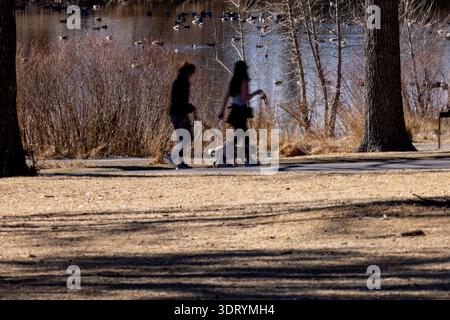 Due persone camminano lungo un sentiero in un parco con un lago nelle vicinanze. Sono cani da passeggio e ci sono alberi e erba intorno a loro. Le anatre possono essere viste sulla W. Foto Stock