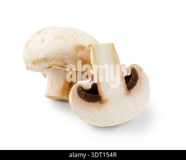 Esplorando diversi tipi di funghi in un collage dettagliato e una raccolta di immagini Foto Stock