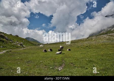 Un tranquillo paesaggio a Derborence, Svizzera, caratterizzato da prati verdi lussureggianti e nuvole spettacolari. Foto Stock