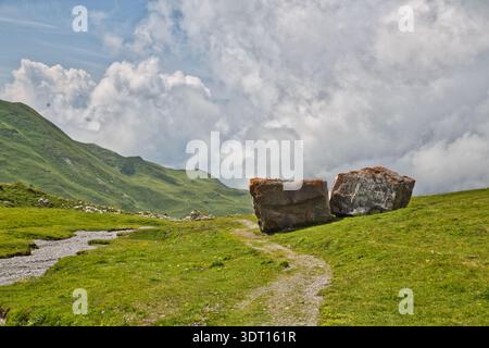 Vista panoramica di Derborence, Svizzera, con rocce e vegetazione lussureggiante. Foto Stock