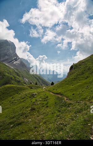 Vista panoramica di Derborence, Svizzera, con vegetazione lussureggiante e nuvole spettacolari. Foto Stock