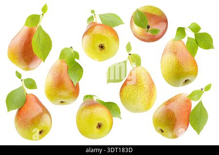 Assortimento di pere gialle mature con il lato rosso macchiato, foglie verdi, primo piano, isolate. Tutto da lati diversi, riprese in studio. Prodotti biologici Foto Stock