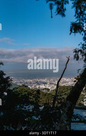 Un ramo d'albero è visibile in primo piano di un paesaggio urbano. Il cielo è blu e la città è visibile in lontananza Foto Stock
