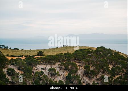 Colline ricoperte di pini sul Mediterraneo, strada per Cap de Formentor Foto Stock