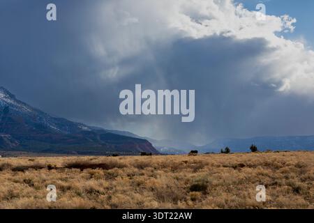 Nuvole di tempesta che si formano sul paesaggio innevato dei pascoli di montagna Foto Stock