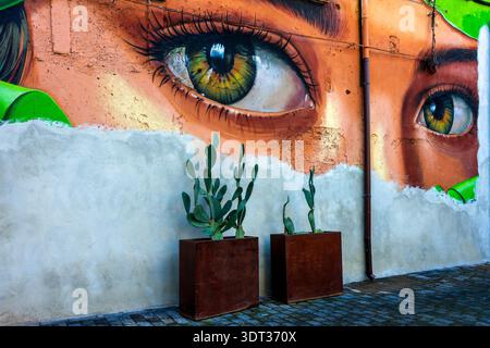 Murale di Street art del signor Pera raffigurante un primo piano degli occhi verdi di una donna su un muro in via Vela, Catania, Sicilia, Italia. Foto Stock