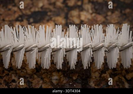 Primo piano di setole con spazzola metallica intrecciata che mostrano dettagli e consistenza sottili su una superficie macchiata Foto Stock