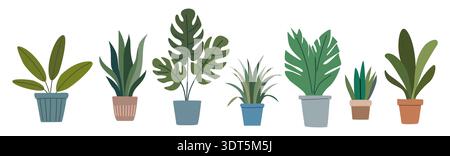 Set di diverse piante in vaso isolate Illustrazione Vettoriale