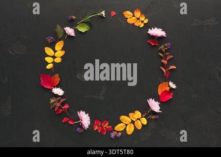 Colorata collezione di fiori secchi e foglie disposte in forma circolare su sfondo scuro Foto Stock