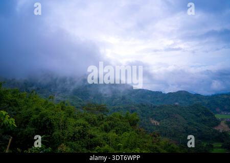 Foresta di Misty Mountain paesaggio Ciwidey Bandung Giava occidentale Foto Stock