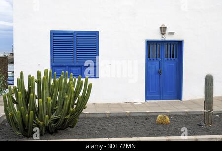 Cactus di fronte a una tipica casa bianca con porta blu e persiane blu, Arrieta, Lanzarote, Isole Canarie, Spagna Foto Stock
