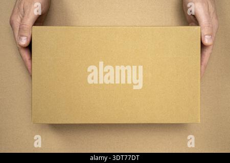 Mani con scatola di cartone marrone per l'imballaggio e la consegna. Packaging mockup, concetto di servizio di consegna Foto Stock