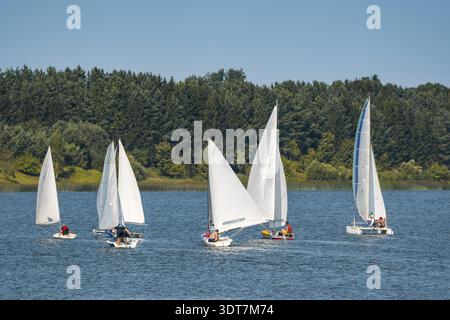 Molte piccole barche bianche navigano sul lago Foto Stock