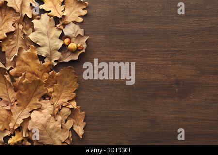 Raccolta di foglie secche e corna disposte su fondo in legno con layout semplice Foto Stock