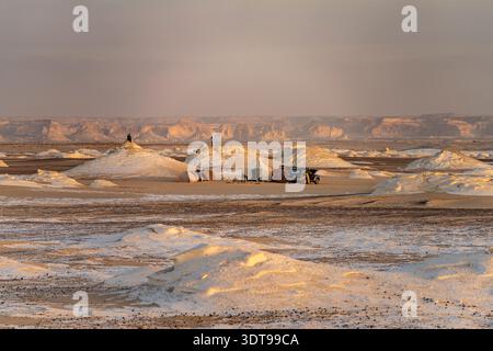Zeltlager im Nationalpark Weiße Wüste im ägyptischen Teil der Libyschen Wüste, Ägypten, Afrika | campo tenda nel Parco Nazionale del deserto bianco, Egitto, Foto Stock