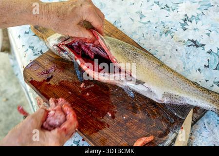 Una fotografia ravvicinata mostra una persona anziana che esegue la decalcificazione di un pesce appena pescato su un tagliere di legno con sfondo rustico e resistente agli agenti atmosferici Foto Stock