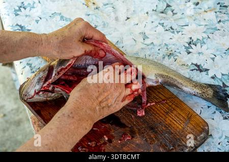 Una fotografia ravvicinata mostra una persona anziana che esegue la decalcificazione di un pesce appena pescato su un tagliere di legno con sfondo rustico e resistente agli agenti atmosferici Foto Stock
