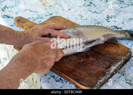 Una fotografia ravvicinata mostra una persona anziana che esegue la decalcificazione di un pesce appena pescato su un tagliere di legno con sfondo rustico e resistente agli agenti atmosferici Foto Stock