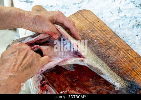Una fotografia ravvicinata mostra una persona anziana che esegue la decalcificazione di un pesce appena pescato su un tagliere di legno con sfondo rustico e resistente agli agenti atmosferici Foto Stock