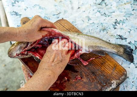 Una fotografia ravvicinata mostra una persona anziana che esegue la decalcificazione di un pesce appena pescato su un tagliere di legno con sfondo rustico e resistente agli agenti atmosferici Foto Stock