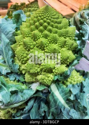 Broccoli Romanesco freschi primo piano con motivo frattale naturale e foglie verdi. Verdure biologiche, concetto di cibo sano. Foto Stock