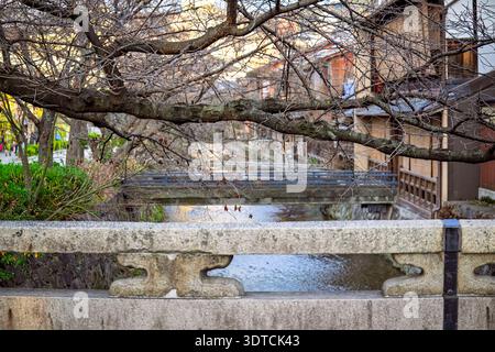 Kyoto, Giappone - gennaio 2026: Canale di Shirakawa a Gion, Kyoto Foto Stock