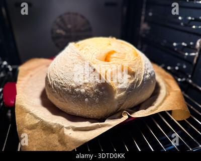 Pane fresco fatto in casa con impasto madre cotto nel forno Foto Stock