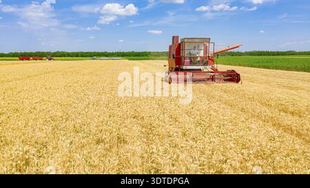 Vista aerea della mietitrebbia agricola, mietitrebbia per il taglio e la raccolta di frumento maturo nei campi agricoli. Il trattore con due rimorchi è in attesa del trasporto Foto Stock