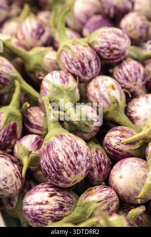 Viola, bianca e verde melanzana tailandese Solanum melongena venduta in un mercato agricolo e coltivata localmente nella California meridionale Foto Stock