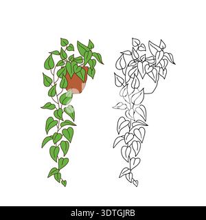 Arte di linea pianta in vaso pothos clipart. Vite bianca e nera in vaso Illustrazione Vettoriale
