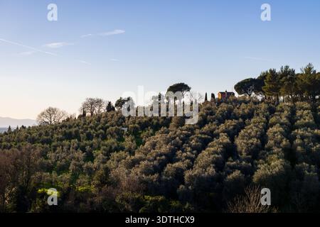 Una vista panoramica delle colline ondulate ricoperte di oliveti e vigneti vicino allo storico villaggio di Vinci, in Toscana. Foto Stock