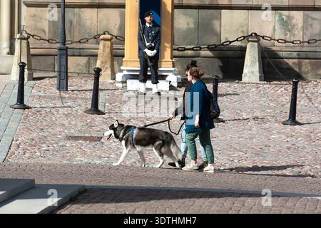 Donna che cammina con un husky siberiano, passa davanti a una guardia in uniforme a Slottsbacken a Gamla Stan, Stoccolma. Foto Stock