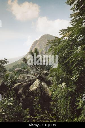 La famosa montagna rocciosa di Ella che si innalza sopra la foresta tropicale le palme le colline nebbiose dello Sri Lanka viaggiano nella natura Foto Stock
