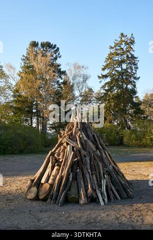 Una grande pila di legno tagliato, tronchi e rami impilati in modo conico si trova su un terreno sabbioso in una radura aperta. Dietro di essa, una foresta variegata di altissimi sempreverdi Foto Stock