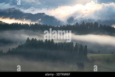 Un tranquillo e suggestivo paesaggio montano all'alba, con foreste stratificate che emergono attraverso nebbie alla deriva e una calda luce dell'alba che illumina le nuvole. Foto Stock