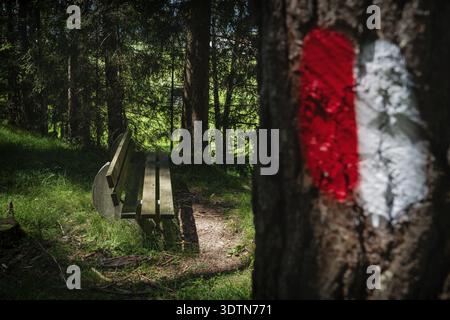 Panchina soleggiata lungo un sentiero nelle Alpi austriache con un cartello rosso bianco dipinto su un tronco di alberi, l'altopiano di Mieminger, Tirol, Austria Foto Stock