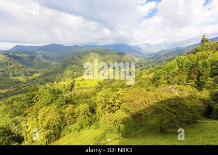 Veduta aerea di Cocora Vallely Salento Colombia Foto Stock