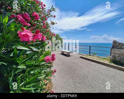 Punto panoramico sulla strada costiera vicino alla galleria naturale (Galleria naturale) lungo la strada Costiera, il Golfo di Trieste, l'Italia e il mare Adriatico Foto Stock