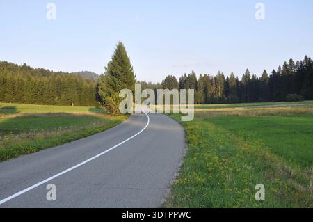 La strada si snoda attraverso la foresta verde. Le montagne sono sullo sfondo. Paesaggio panoramico. Strada asfaltata. La strada si snoda attraverso la foresta verde. Strada rurale di campagna Foto Stock
