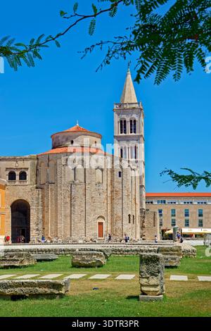 Area Forum e Chiesa di San Donato con il campanile di Santa Anastasia Cattedrale oltre a Zara Città Vecchia, Croazia. Foto Stock