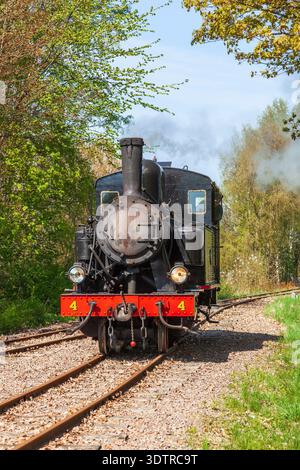 Vecchia locomotiva a vapore che guida sulla ferrovia in una lussureggiante foresta verde Foto Stock